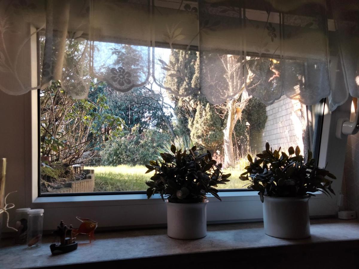 Ferienwohnung Coco Haltern am See Esterno foto